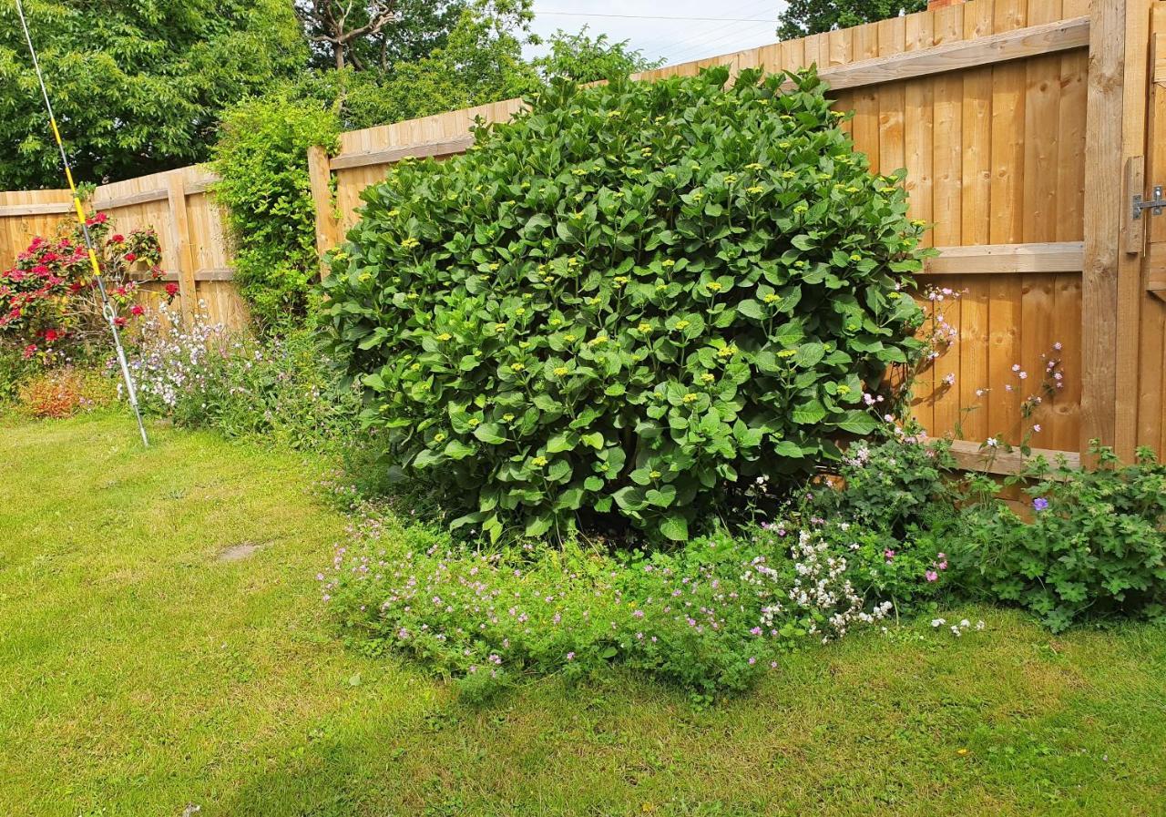 Forest Farm Papplewick Nottingham - Spacious Self-Contained Rural Retreat! Extérieur photo