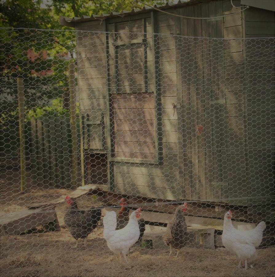 Forest Farm Papplewick Nottingham - Spacious Self-Contained Rural Retreat! Extérieur photo